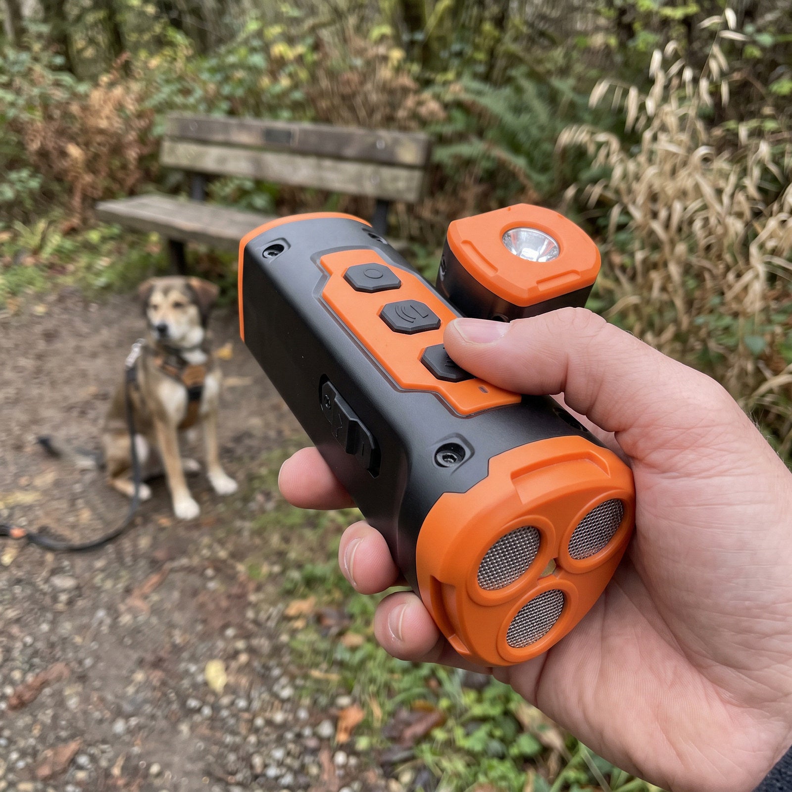 Hand supporting an Orange Black trainer beside a park bench